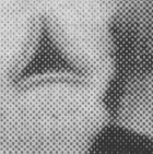 Zeitungsausschnitt unter der Lupe